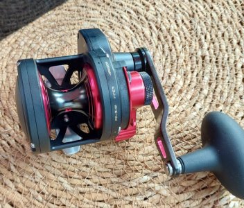 1000027886.jpg 1000027886.jpg