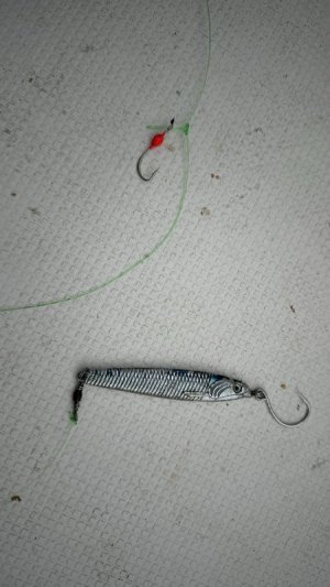 IMG_1666.jpeg IMG_1666.jpeg