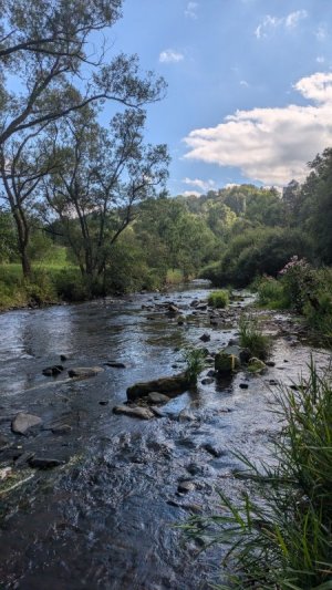 1000009459.jpg 1000009459.jpg