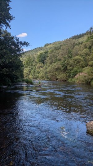 1000009457.jpg 1000009457.jpg