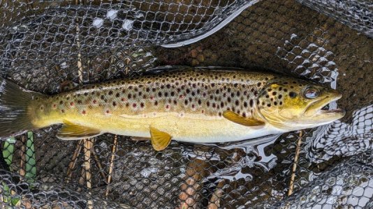 1000009427.jpg 1000009427.jpg