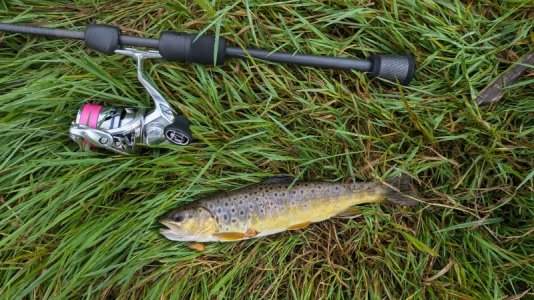 1000009608.jpg 1000009608.jpg