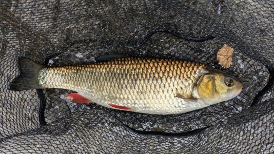 1000009787.jpg 1000009787.jpg