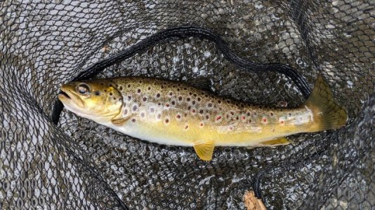 1000009789.jpg 1000009789.jpg