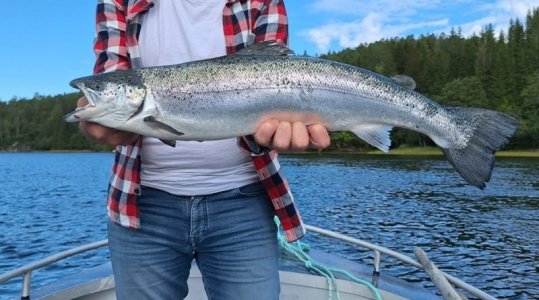 Juli+Aug. 04 - Kopie.jpg