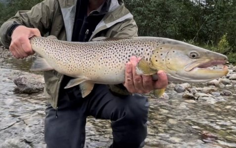 Juli+Aug. 12 - Kopie.jpg