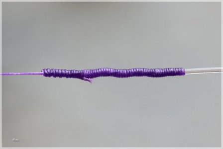 C85A0945.comp.jpg C85A0945.comp.jpg