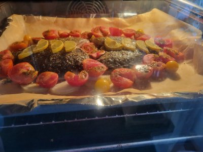 20240819_180006.jpg 20240819_180006.jpg