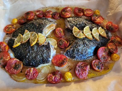 20240819_184040.jpg 20240819_184040.jpg