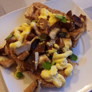 20240819_204550.jpg 20240819_204550.jpg