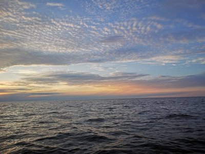 IMG_20240820_203312.jpg