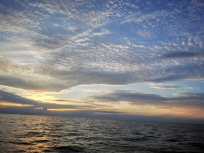 IMG_20240820_203132.jpg