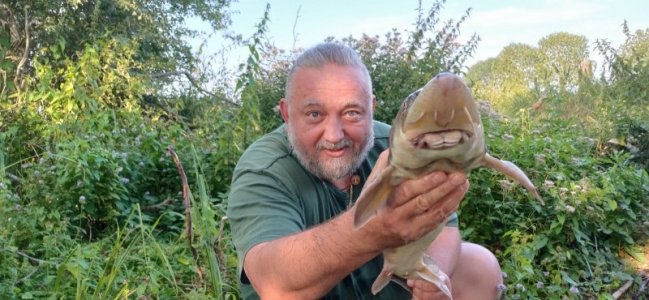 IMG-20240820-WA0007.jpg IMG-20240820-WA0007.jpg