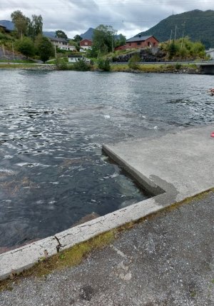 20240822_134523.jpg 20240822_134523.jpg