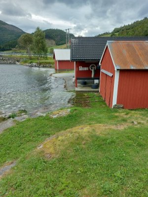 20240822_134437.jpg 20240822_134437.jpg