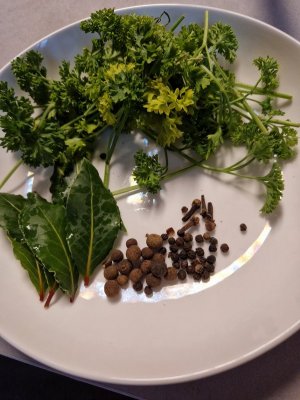 20240823_200505.jpg 20240823_200505.jpg