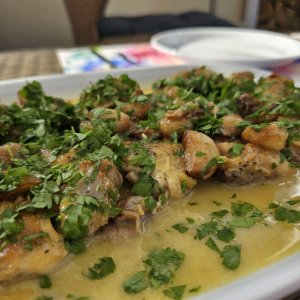 20240824_172510.jpg 20240824_172510.jpg