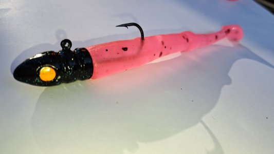 20240828_180901[1].jpg