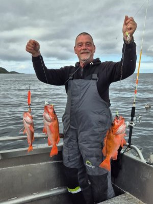 IMG-20240831-WA0004.jpg IMG-20240831-WA0004.jpg