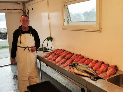 IMG-20240831-WA0001.jpg IMG-20240831-WA0001.jpg