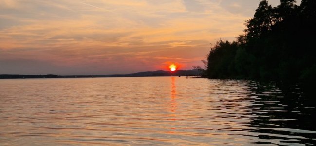 20240831_195047.jpg 20240831_195047.jpg