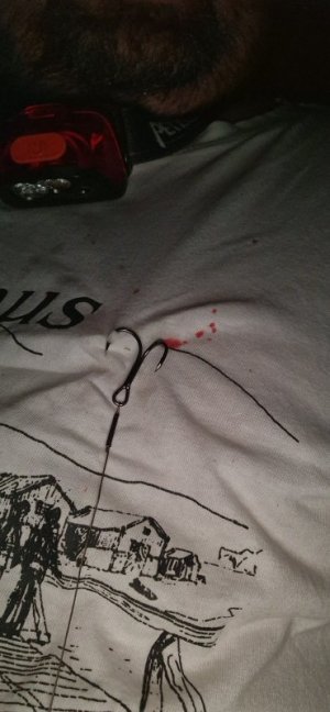 20240831_213059.jpg 20240831_213059.jpg