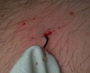 20240831_214316.jpg 20240831_214316.jpg