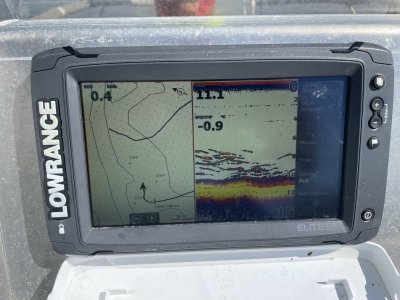 IMG_9156.jpeg