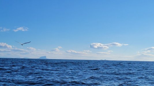 20240902_163500.jpg