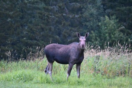 DSC_1573.JPG DSC_1573.JPG