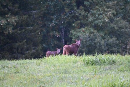 DSC_1576.JPG DSC_1576.JPG