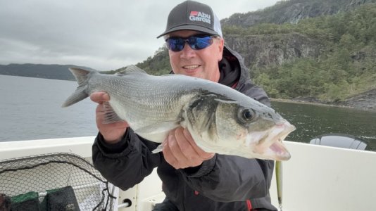 IMG_1902.jpeg IMG_1902.jpeg