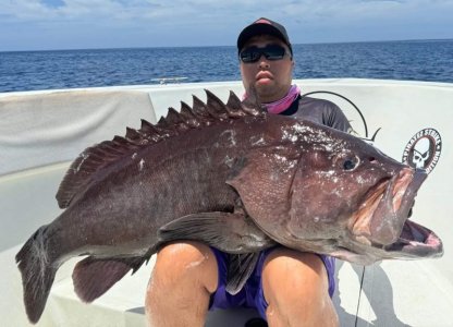 WhatsApp Image 2024-08-27 at 18.29.43.jpeg