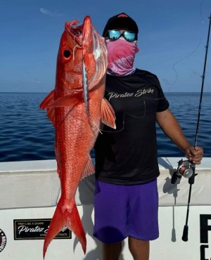 WhatsApp Image 2024-08-27 at 18.29.42.jpeg