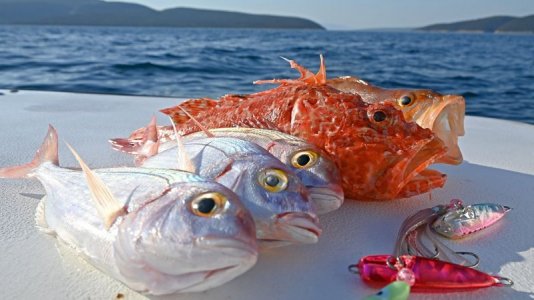 Inchikus.jpg