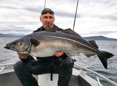 IMG_20240904_151517_edit_115013066802241.jpg IMG_20240904_151517_edit_115013066802241.jpg