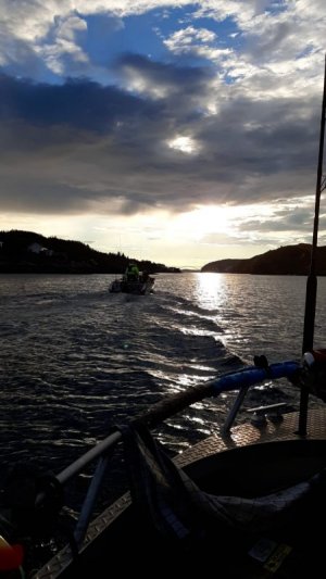 0d37e3cd-0e4f-4d91-922c-174836fe79da.jpeg 0d37e3cd-0e4f-4d91-922c-174836fe79da.jpeg