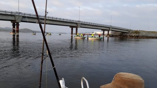 bfbdbd12-ce18-487f-9183-ed257a0d14ac.jpeg bfbdbd12-ce18-487f-9183-ed257a0d14ac.jpeg