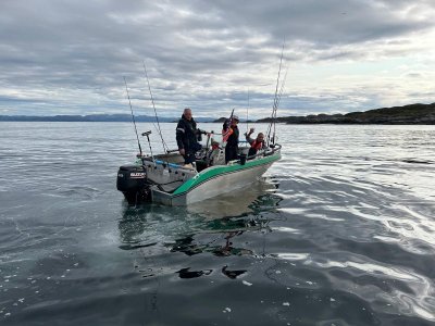 434abe52-b5f3-4e7f-86c7-64e690e45865.jpeg 434abe52-b5f3-4e7f-86c7-64e690e45865.jpeg