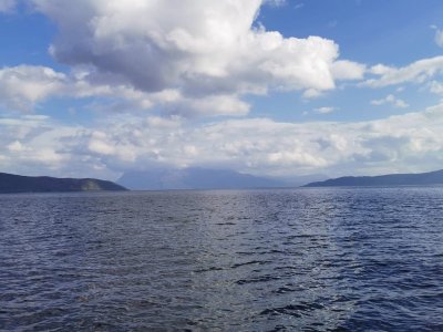 IMG-20240905-WA0006.jpg IMG-20240905-WA0006.jpg