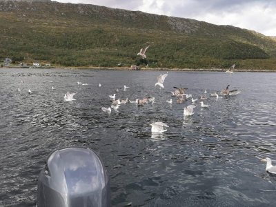 IMG-20240905-WA0005.jpg IMG-20240905-WA0005.jpg