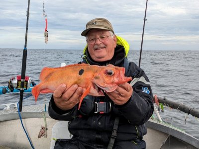 68c3571d-58a7-4323-a120-7bceaa1eb546.jpeg 68c3571d-58a7-4323-a120-7bceaa1eb546.jpeg