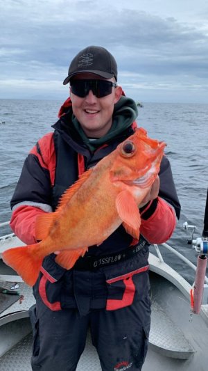 2b4ffc36-6def-417c-9d22-ea2dc328ee96.jpeg 2b4ffc36-6def-417c-9d22-ea2dc328ee96.jpeg