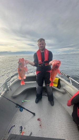 3db81e05-03f1-4032-9ea4-051890c9d44d.jpeg 3db81e05-03f1-4032-9ea4-051890c9d44d.jpeg