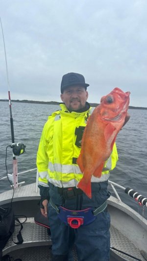 ae9ec961-0322-47a7-9273-c737b467ee0a.jpeg ae9ec961-0322-47a7-9273-c737b467ee0a.jpeg