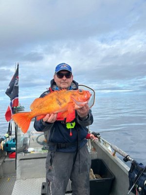 211267df-7068-46ee-8513-4560249899e4.jpeg 211267df-7068-46ee-8513-4560249899e4.jpeg