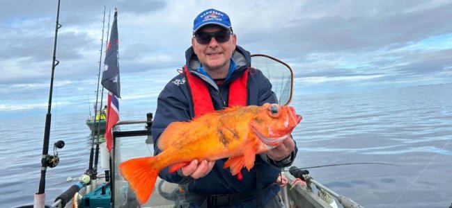 8f7c58ae-d918-4c1b-82cd-87763283935c.jpeg 8f7c58ae-d918-4c1b-82cd-87763283935c.jpeg