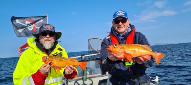 712886d1-f603-4afd-8359-007708493b98.jpeg 712886d1-f603-4afd-8359-007708493b98.jpeg