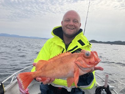 IMG_5612.jpeg IMG_5612.jpeg