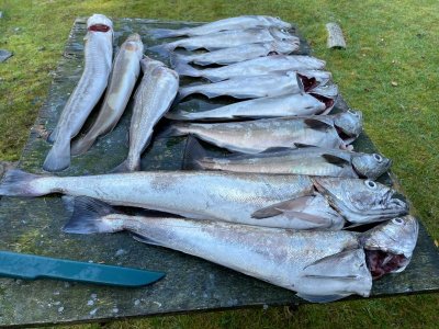 IMG-20240906-WA0010.jpg IMG-20240906-WA0010.jpg